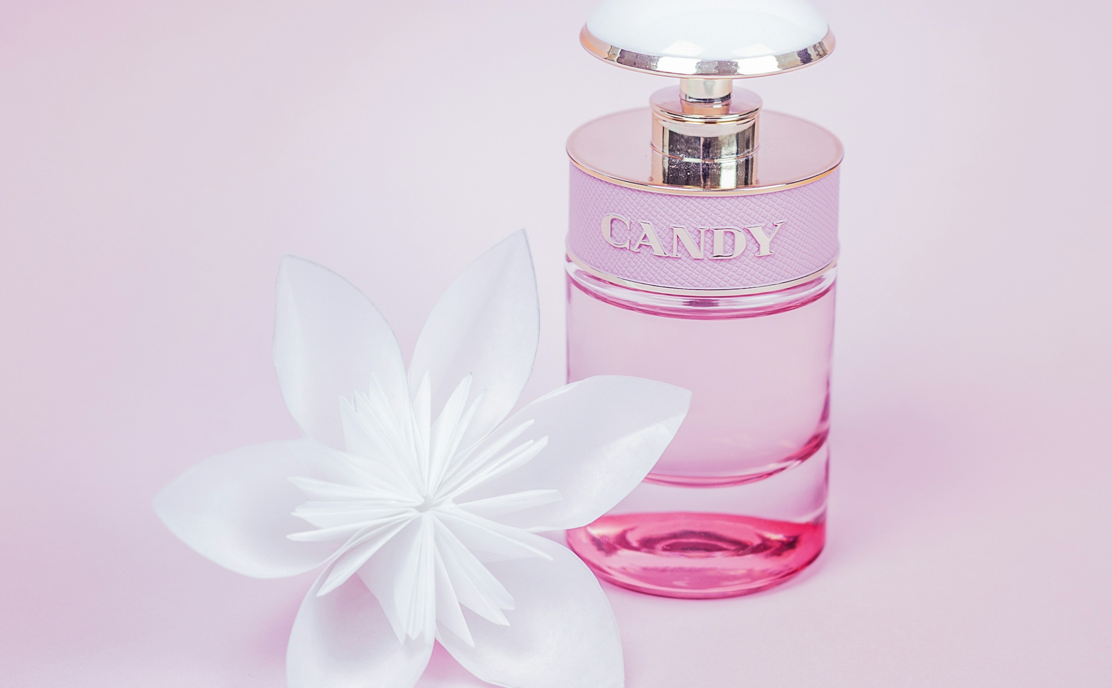 عطر وردي أنيق مع زهرة بيضاء وخلفية وردية